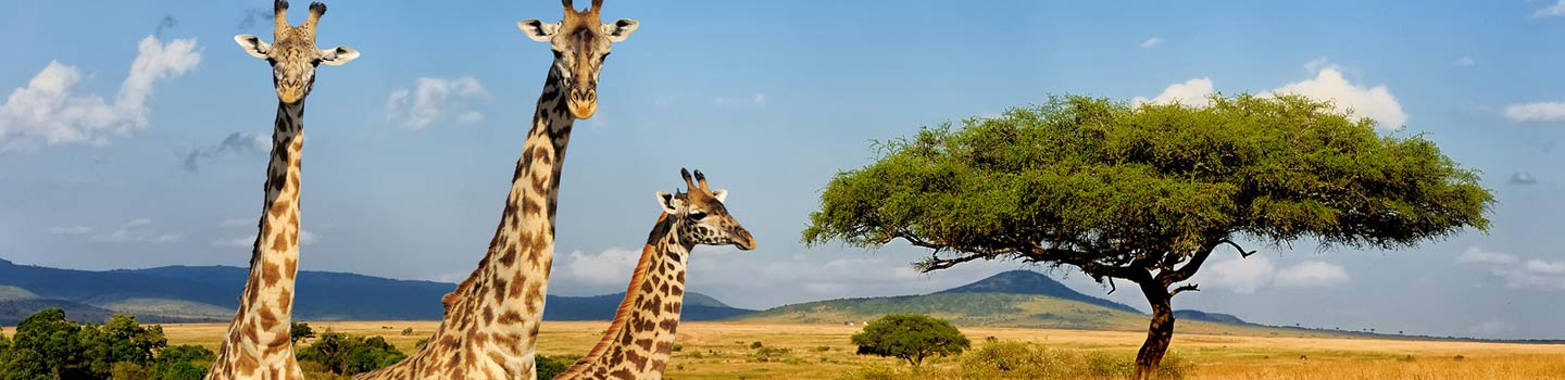 Africa & Middle East Cruise Deals