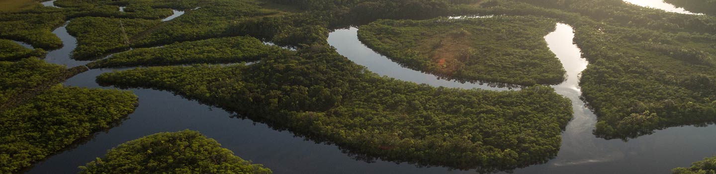 Amazon River Cruise