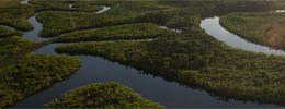 Amazon River Cruise Deals